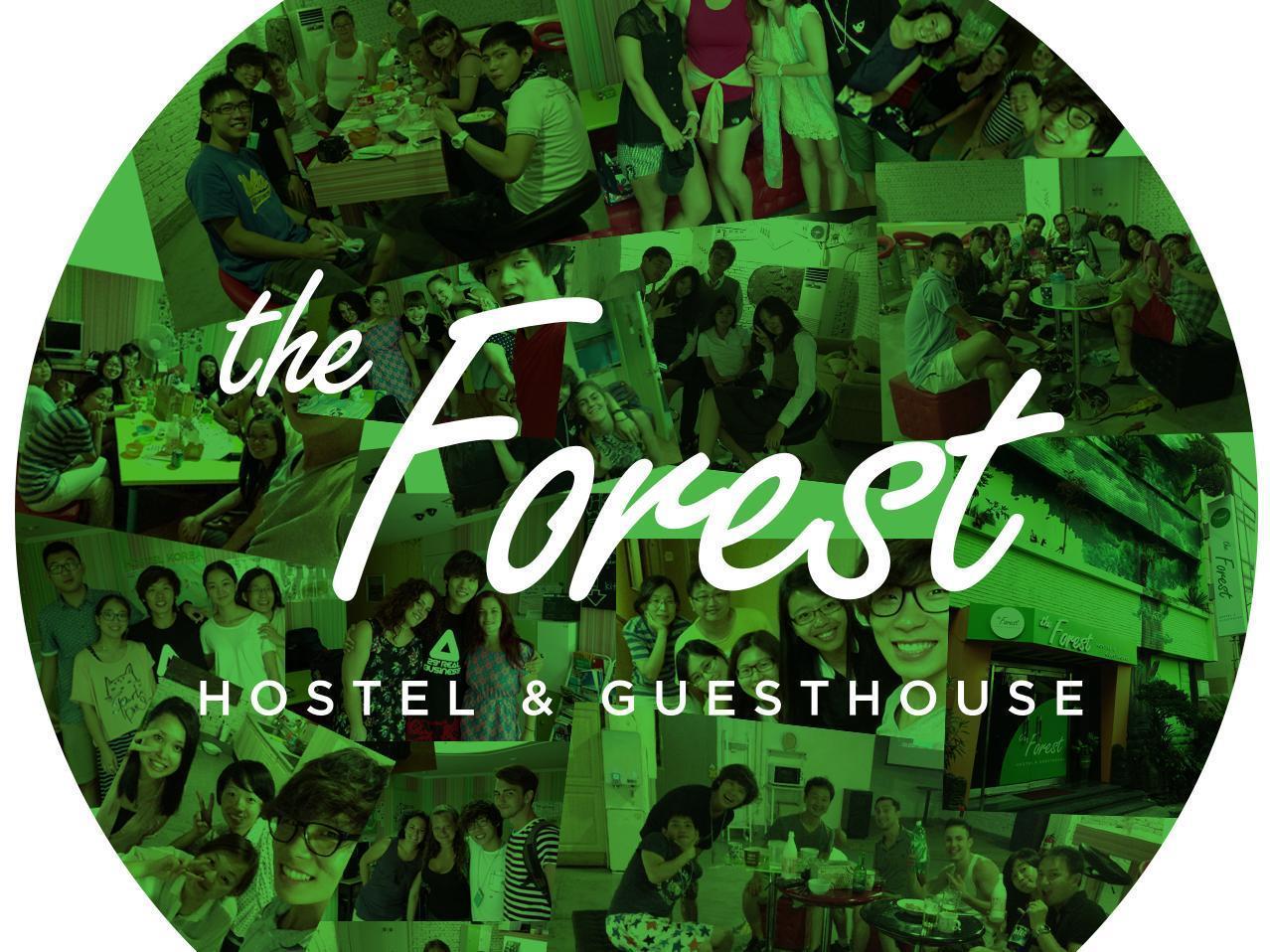 The Forest Hostel Jeju Exterior foto